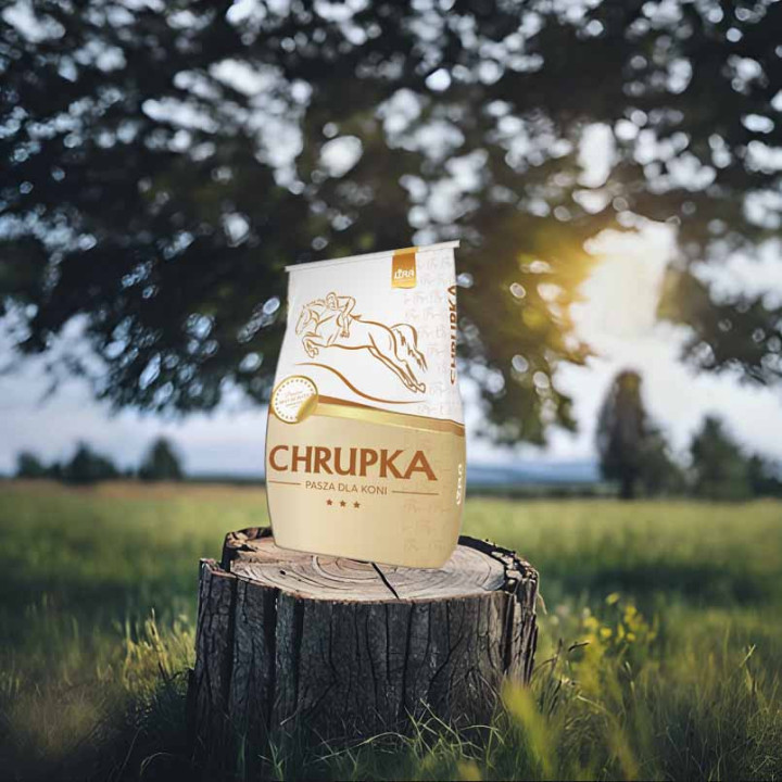 Vital Mash 25 kg - mesz dla koni poprawiający kondycję