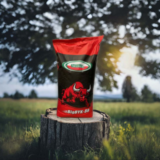 Koncentrat Bigbyk 25 kg - koncentrat dla bydła opasowego