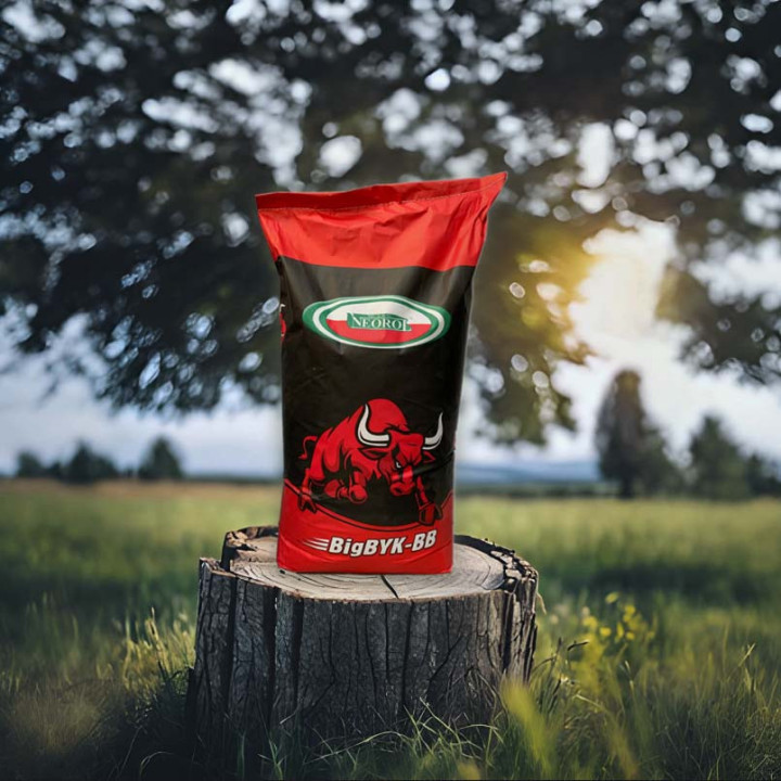 Koncentrat Bigbyk 25 kg - koncentrat dla bydła opasowego