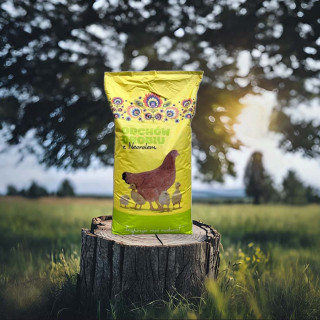 Mieszanka paszowa DK 25 kg - pasza dla kurcząt,kacząt i gęsiąt