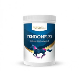 TendonFlex – Odżywienie i Regeneracja Ścięgien oraz Więzadeł 900 g